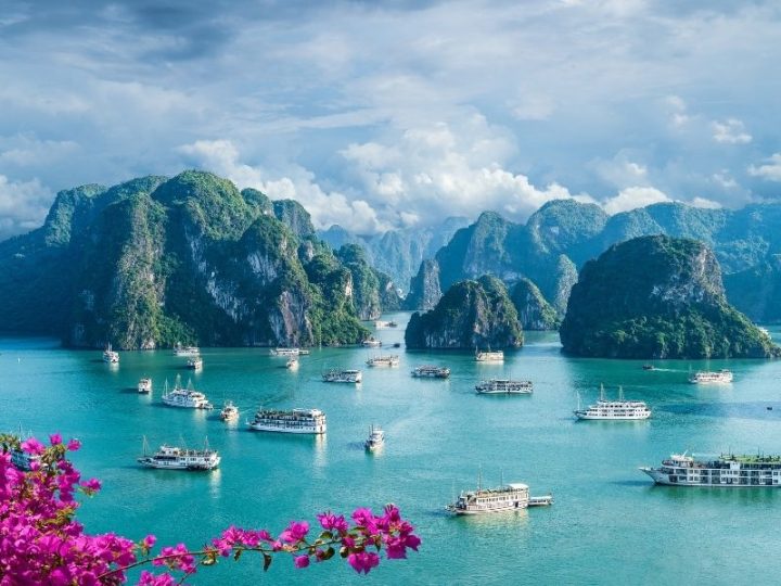 ベトナムの素晴らしいハロン湾のある風景画像